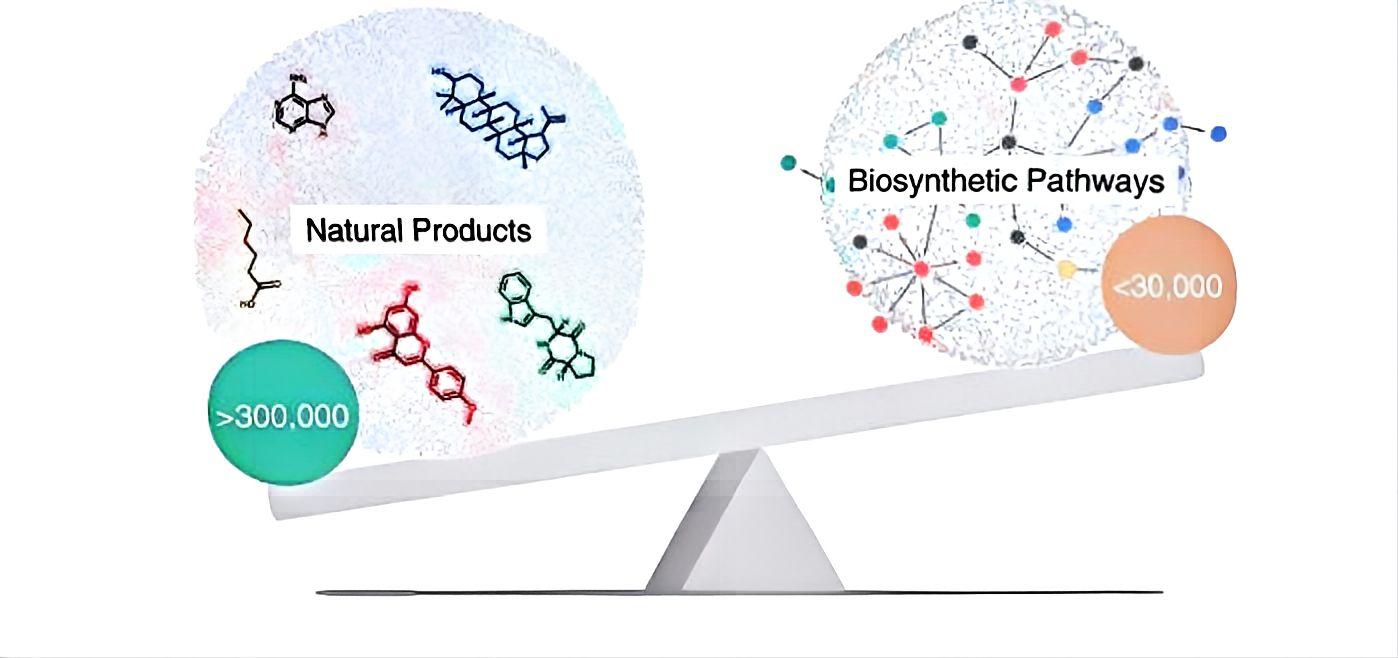 Synthetic Biology & Enzyme Design